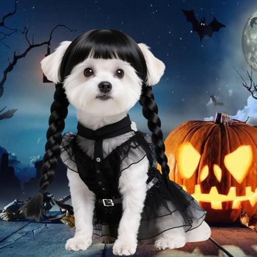 Black Dog Costume with Wig and Belt V247576
