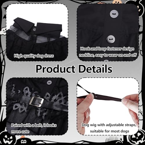 Black Dog Costume with Wig and Belt V247576