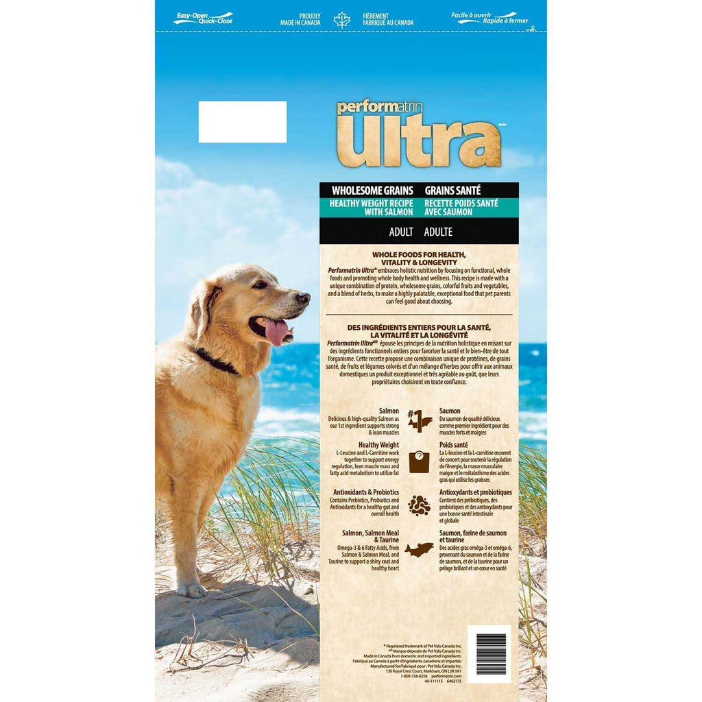 Salmon Adult Dry Dog Food H7733