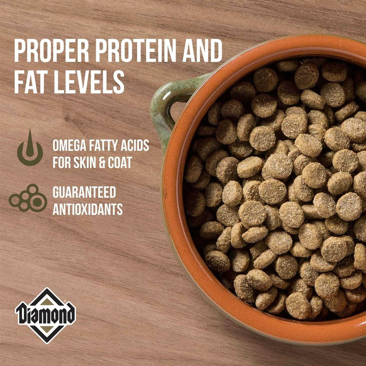 Dog Food K2653