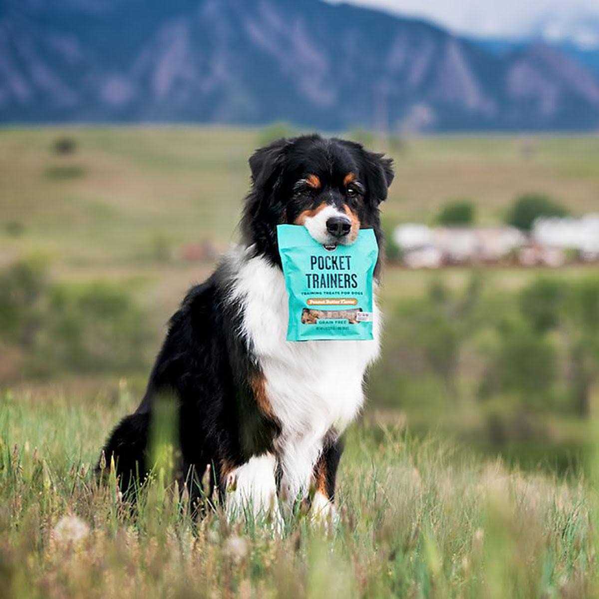 Dog Treats S42480