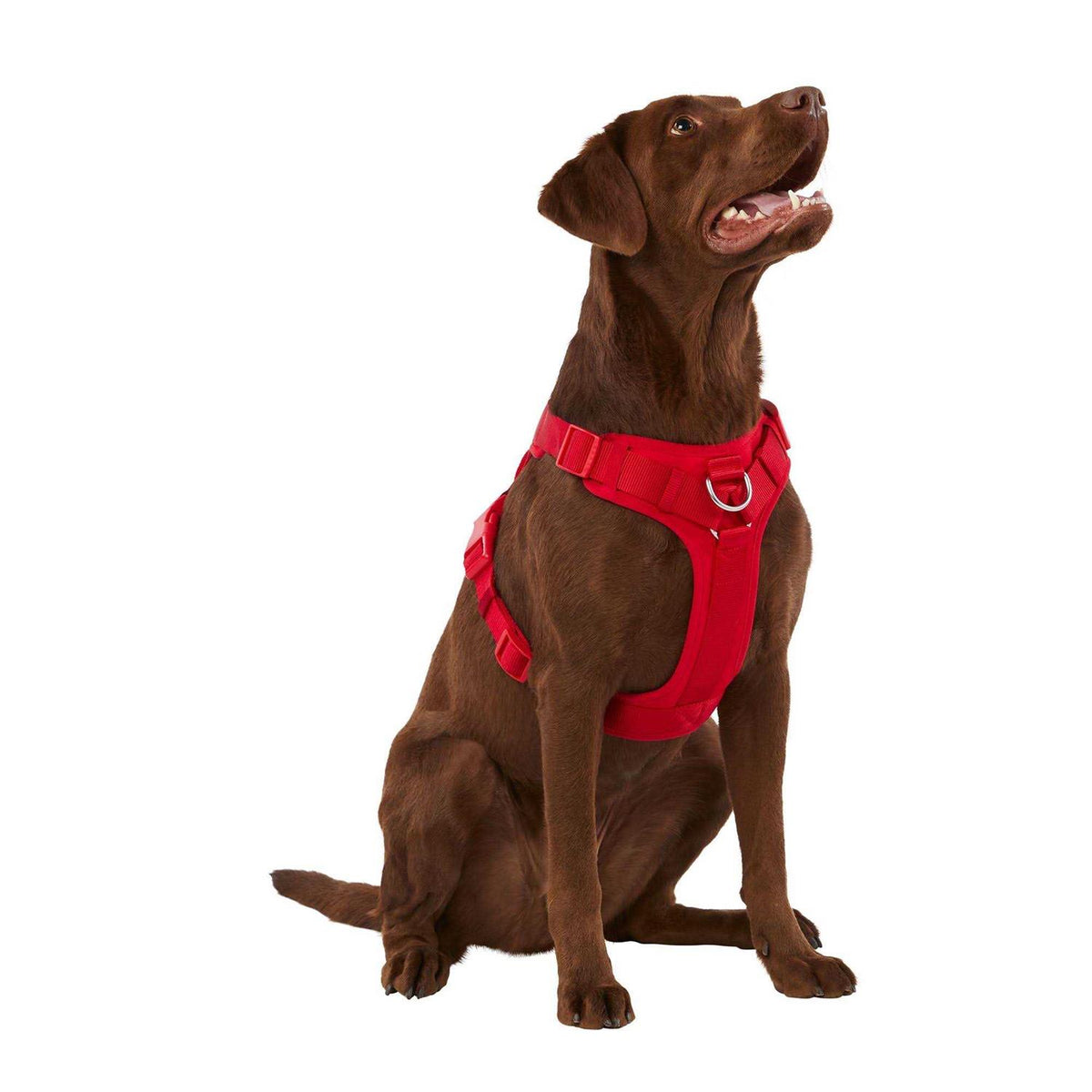Neoprene Dog Harness D7302
