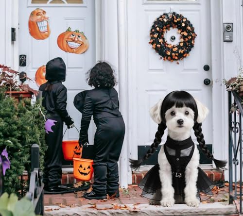 Black Dog Costume with Wig and Belt V247576